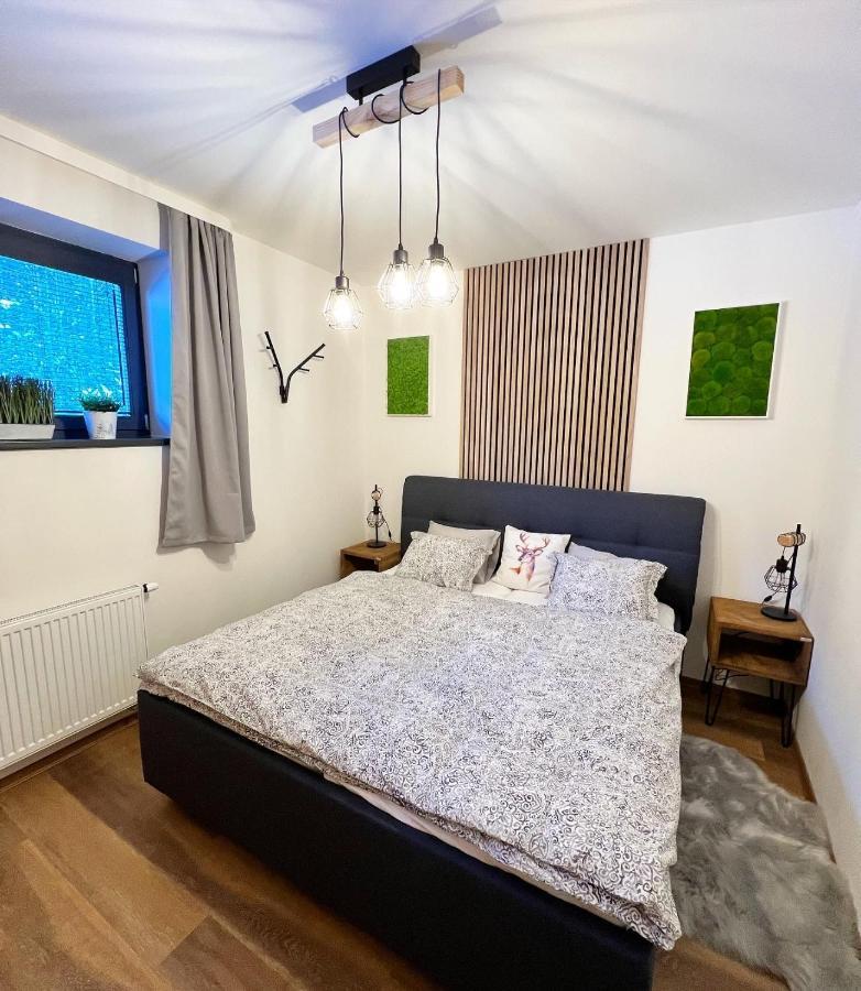 U Jelena Harrachov - Rodinny Apartman U Lesa S Garazi Kültér fotó